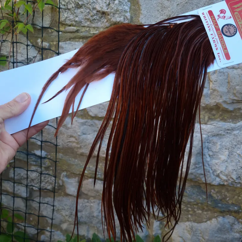 Whiting 1/2 BRONZE Grade Dry Fly Rooster Saddle in Coachman Brown